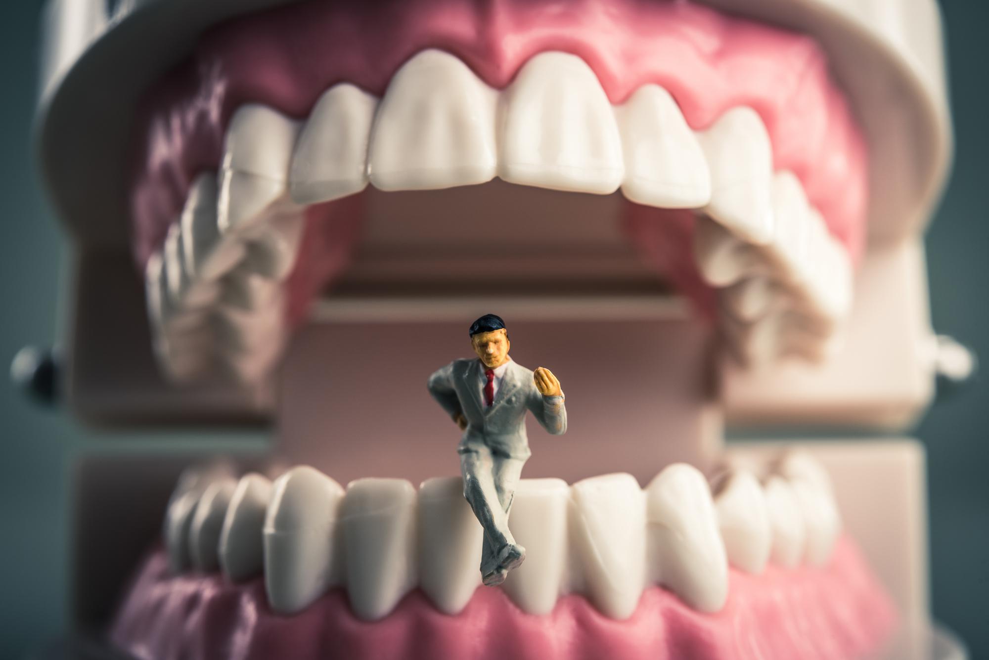 歯並びの悪さは文化の違い？骨格や保険制度の違いもあります！