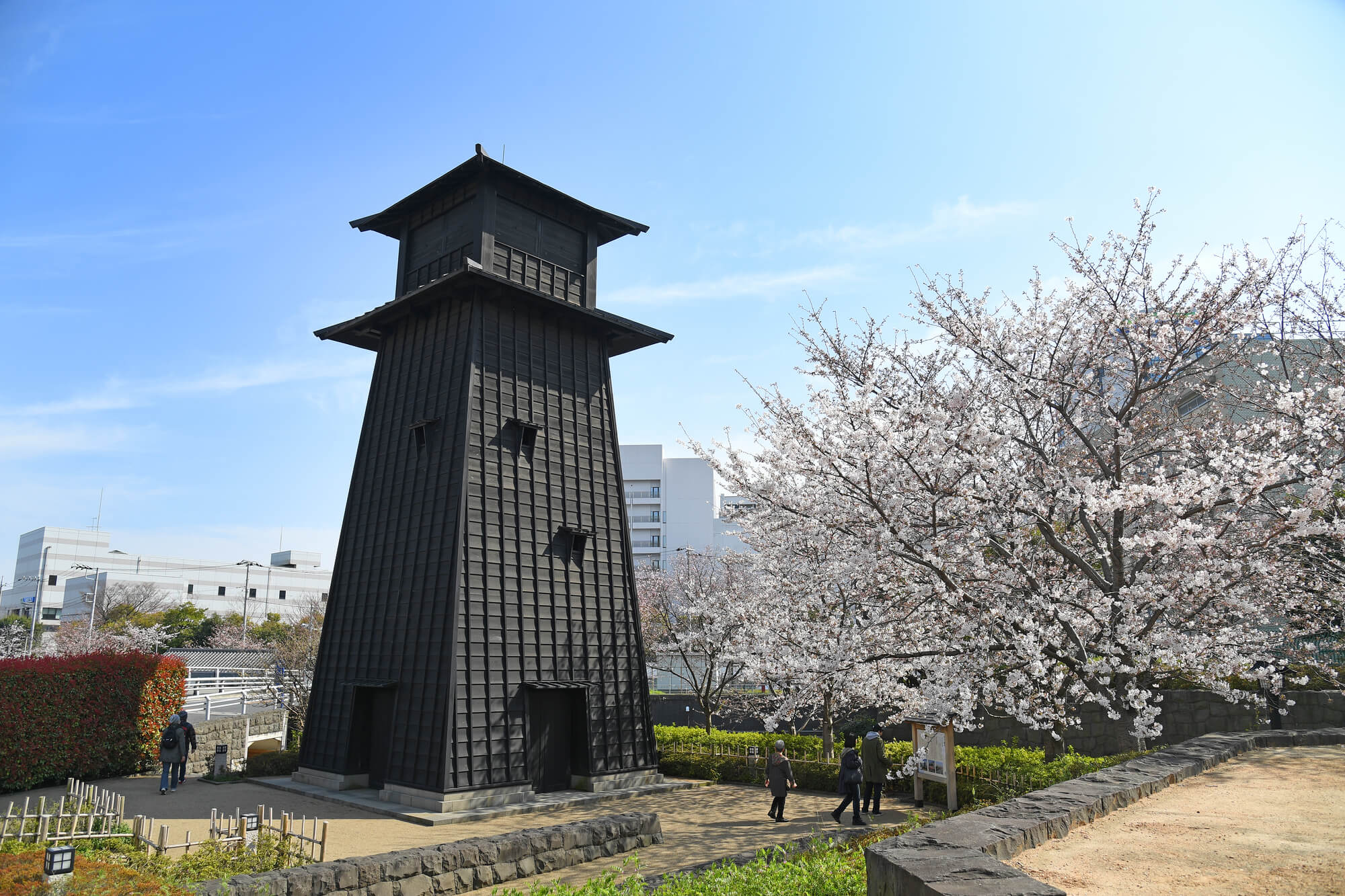 年 江戸川区の裏側矯正 おすすめポイントや口コミもわかる
